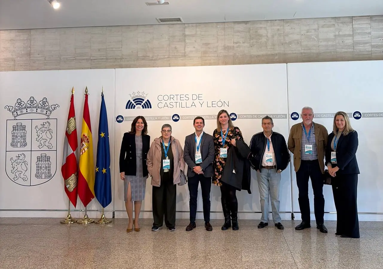 El PP registra en las Cortes de Castilla y León una PNL por el soterramiento del tren en Palencia