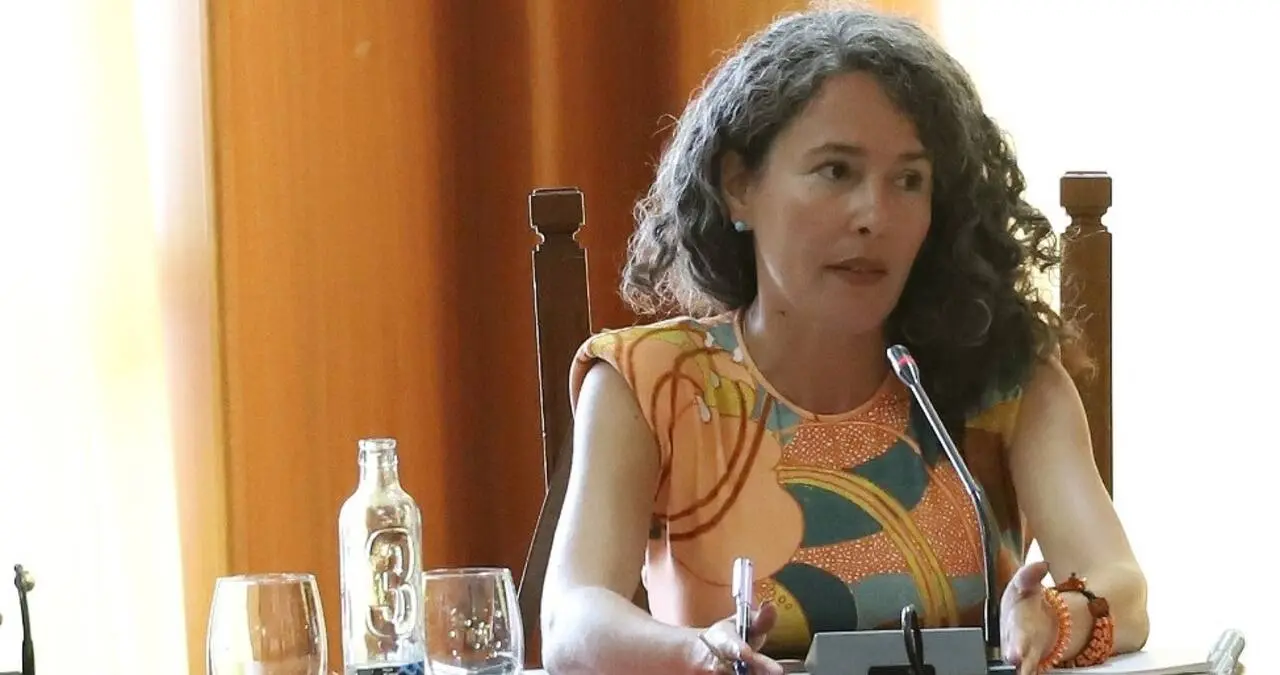 Ariagona González, portavoz del PSOE en el Cabildo de Lanzarote. / Cadena SER