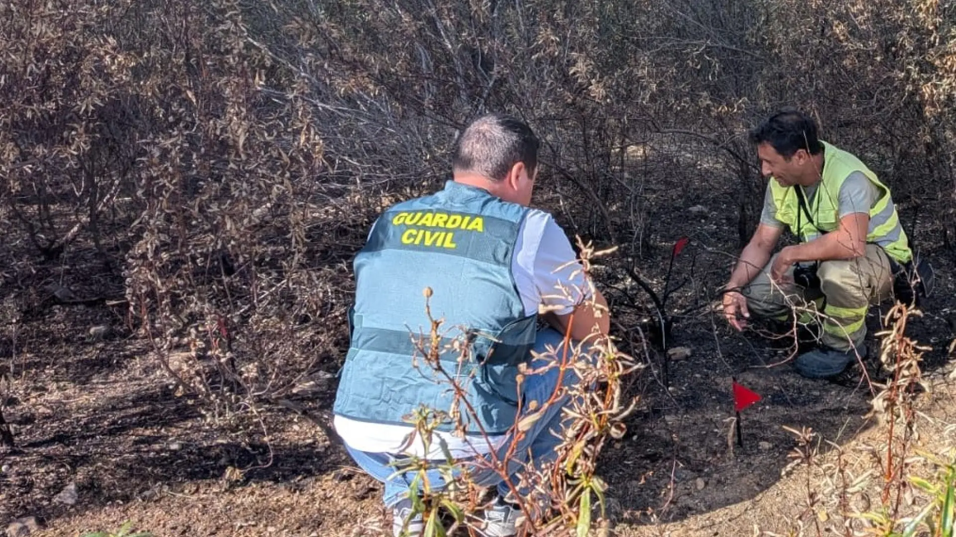 Castilla y León destina 200 millones de euros a un operativo antiincendios permanente con 32 medios aéreos