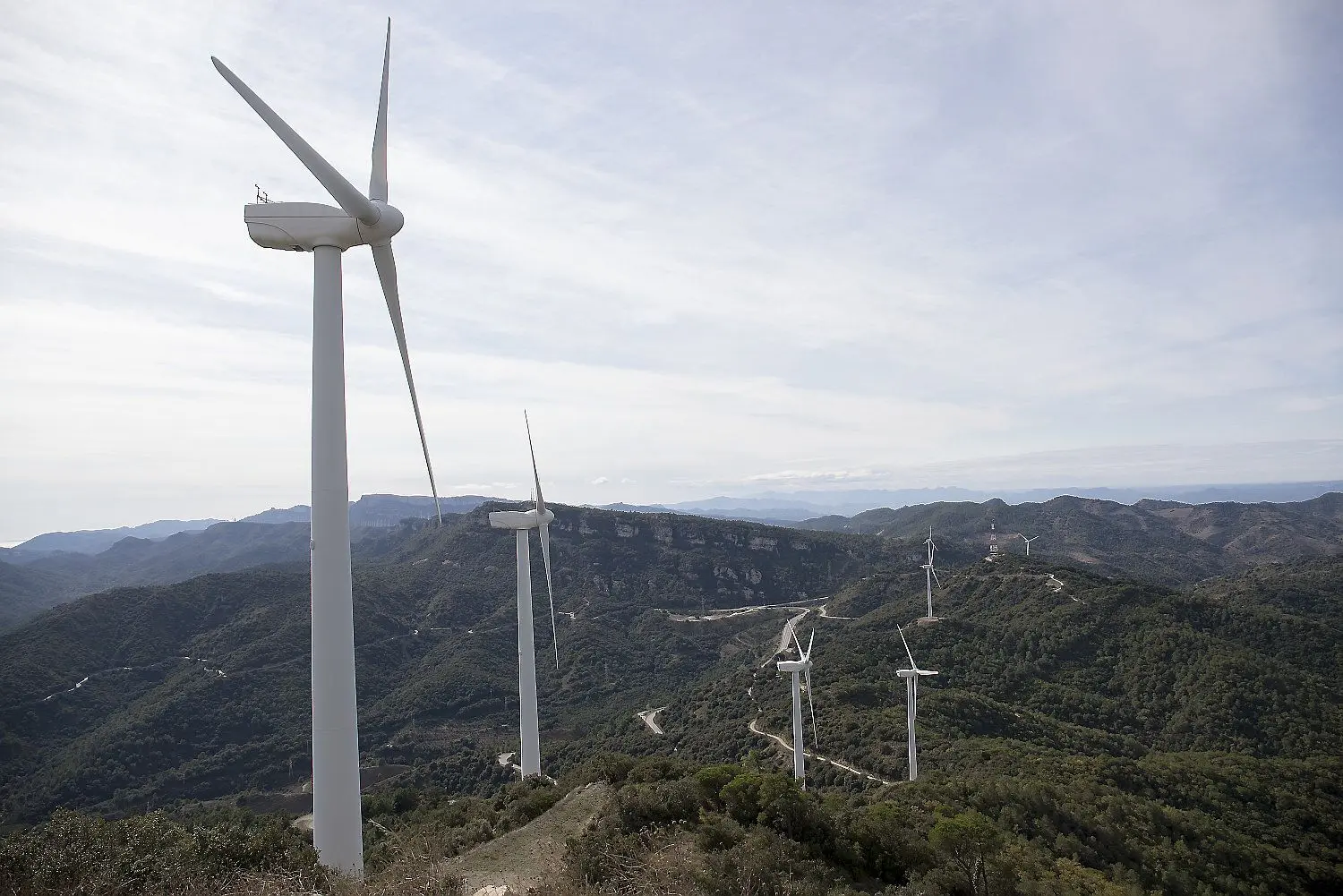 La Generalitat rechaza por primera vez un parque eólico por motivos paisajísticos, en el Baix Empordà