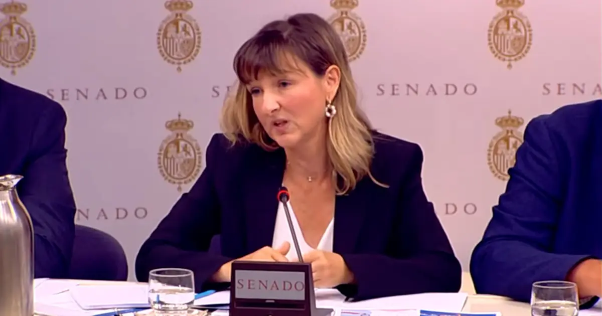 La directora de Ouigo España pidió en el Senado hace un mes que Adif retirara el sistema LZB por antiguo