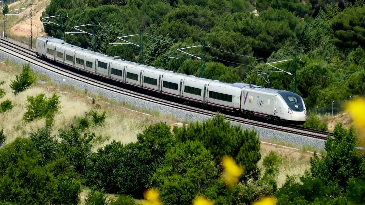 noticia-radio-algeciras-designara-miercoles-jaci-kuklvcrn